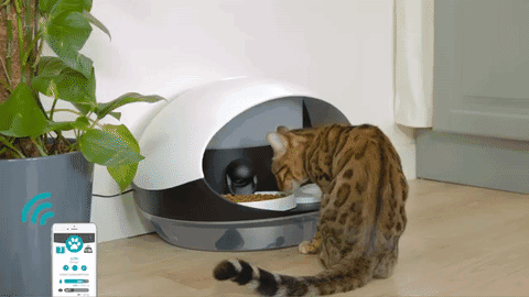 1b4f8684f280eb62ff78ecbd7cd97cf4_original