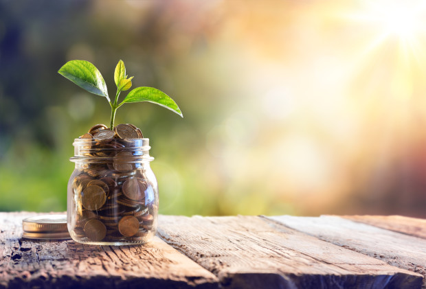 Plant Growing In Savings Coins -
