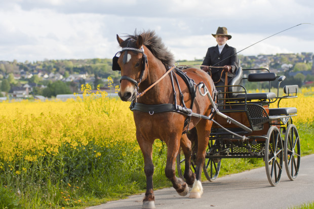 woman coaching carriage on country road