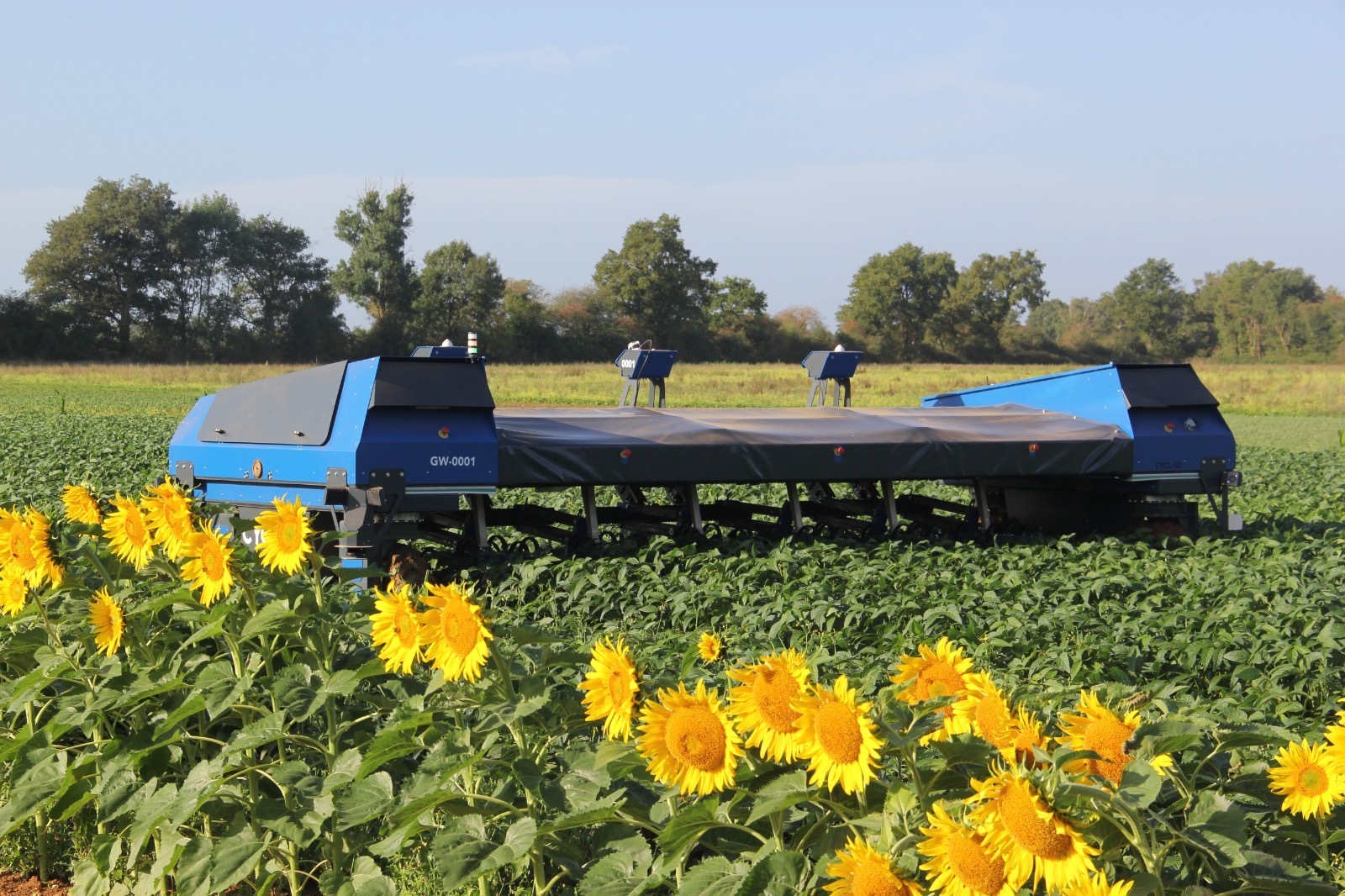IA : Cyclair ouvre son capital pour dÃ©mocratiser le dÃ©sherbage des cultures agricoles